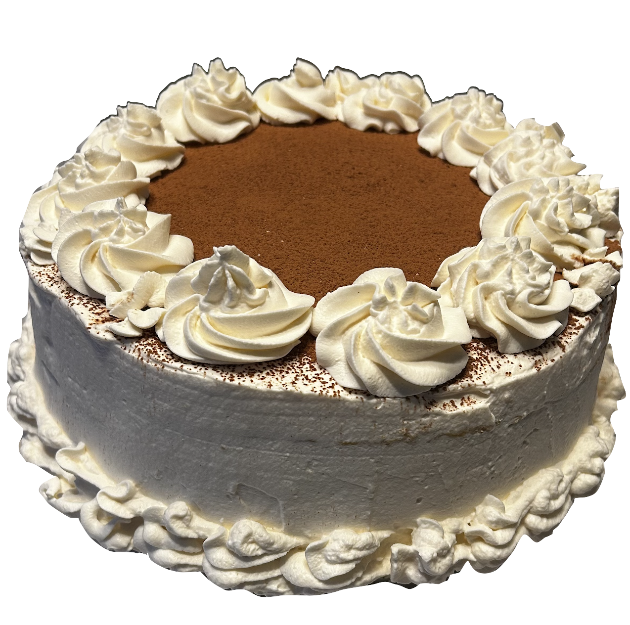 Tiramisu cake with whipped-cream rosettes dusted with cocoa